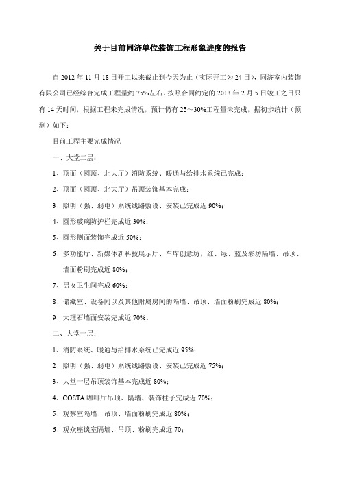 形象进度报告