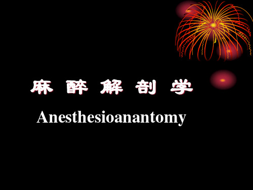 麻醉解剖学1-丁家明教授课件