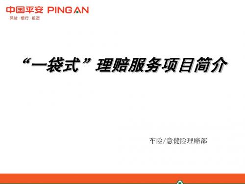 一袋式理赔服务项目简介