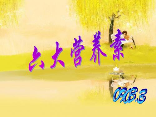 六大营养素