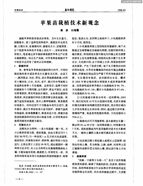 苹果苗栽植技术新观念