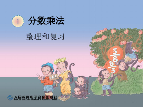 整理和复习