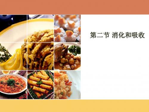 2012人教版新教材消化和吸收(两课时)