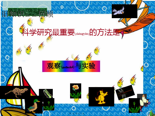 七年级科学上册生物与非生物