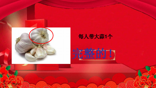 一年级科学上册 第1单元 植物 1.1 我们知道的植物课件教科小学一年级上册自然科学课件