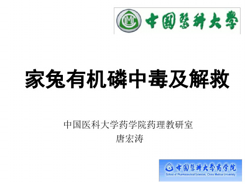 家兔有机磷中毒及解救