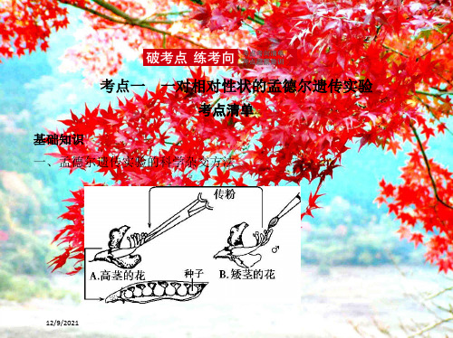 高考生物一轮复习专题11基因的分离定律课件高三全册生物课件_7