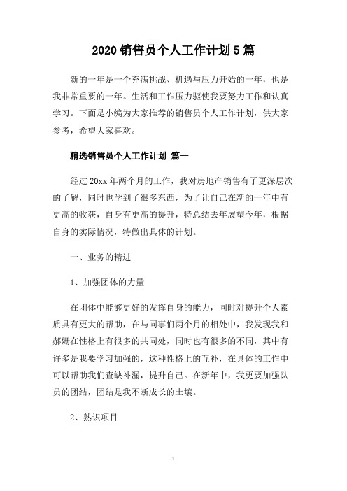2020销售员个人工作计划5篇.doc