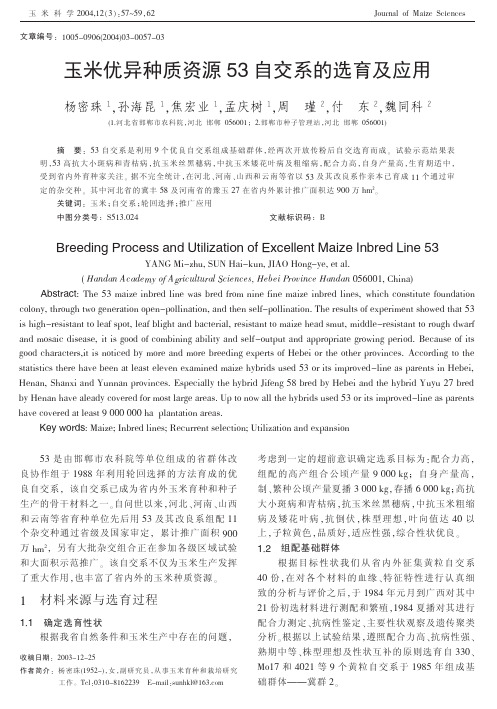 玉米优异种质资源53自交系的选育及应用