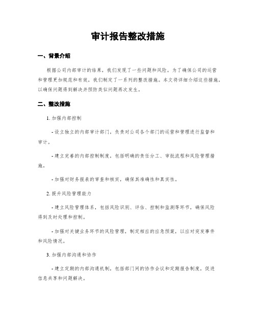 审计报告整改措施