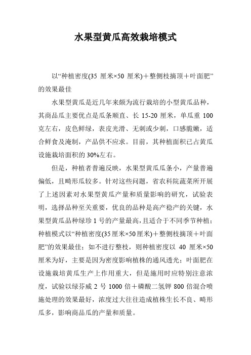 水果型黄瓜高效栽培模式