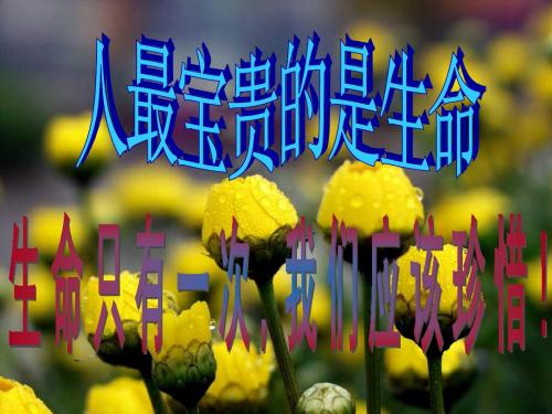 苏教版七年级下册14.2人最宝贵的是生命+23张幻灯片