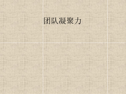 如何打造团队凝聚力(PPT51页)