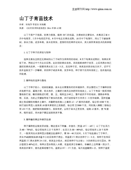 山丁子育苗技术