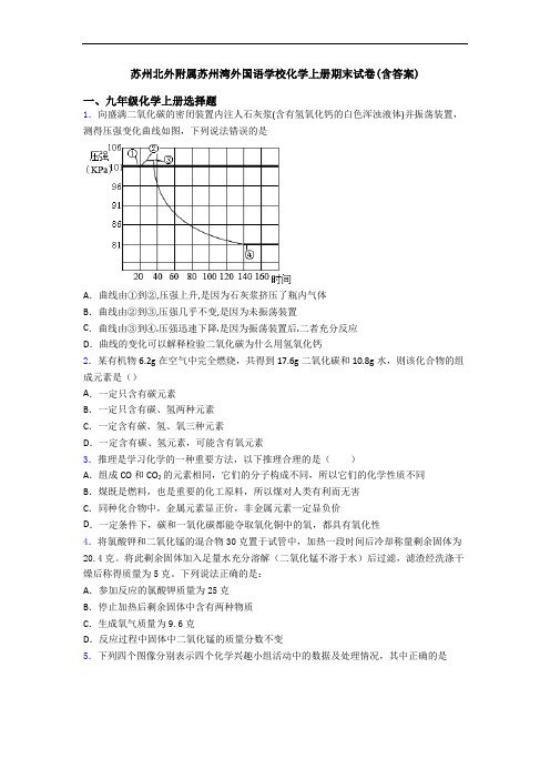 苏州北外附属苏州湾外国语学校化学初三化学上册期末试卷(含答案)