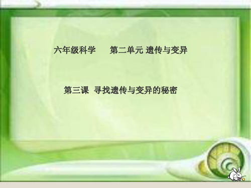 六年级下册科学课件-2.3 寻找遗传与变异的秘密(8)-苏教版