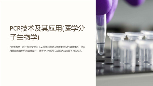 PCR技术及其应用(医学分子生物学)