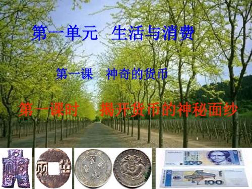 高一经济生活第一课第一框《揭开货币的神秘面纱》课件
