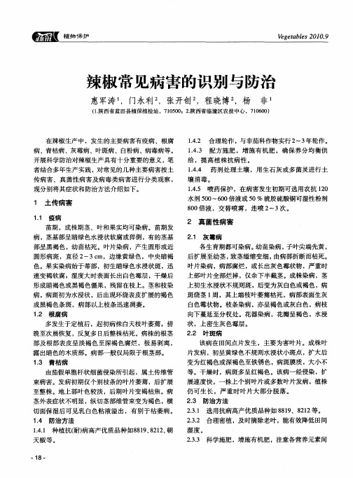 辣椒常见病害的识别与防治