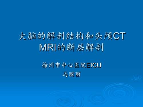 大脑的解剖结构与头颅MRI的影像分析报告