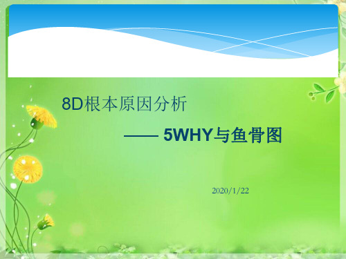 8D根本原因分析之5WHY与鱼骨图完整版精品PPT课件