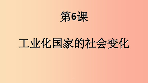 九年级历史下册 第2单元 第二次工业革命和近代科学文化 第6课 工业化国家的社会变化4 新人教版