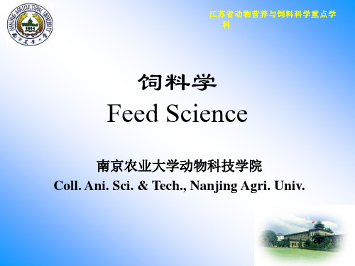 饲料学 课件