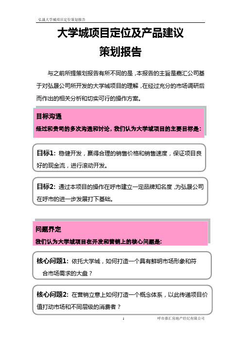 大学城项目策划方案