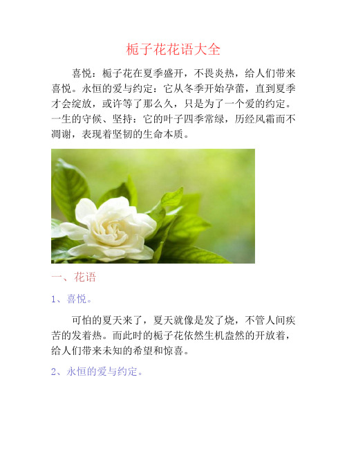 栀子花花语大全