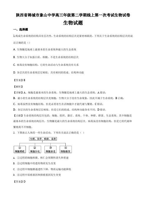 陕西省韩城市象山中学高三年级第二学期线上第一次考试生物试卷答案解析与点睛(12页)