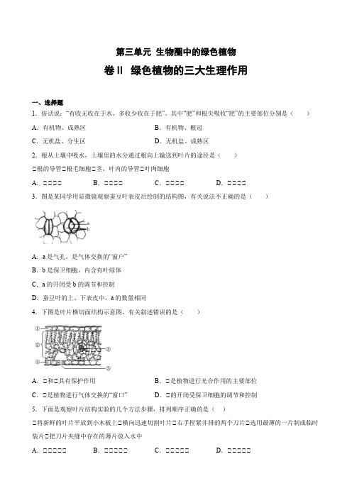 卷Ⅱ 绿色植物的三大生理作用(原卷版)