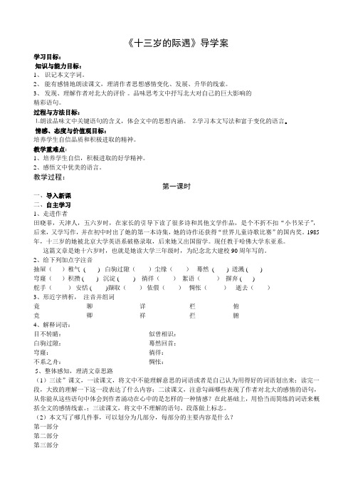 打印《十三岁的际遇》导学案