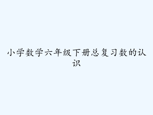 小学数学六年级下册总复习数的认识 PPT