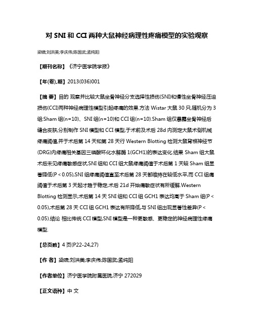 对SNI和CCI两种大鼠神经病理性疼痛模型的实验观察
