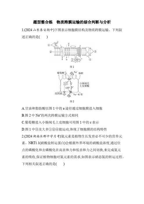 人教版高中生物必修1第4章细胞的物质输入和输出题型整合练物质跨膜运输的综合判断与分析基础练含答案