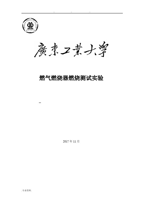 燃气燃烧器燃烧测试实验报告