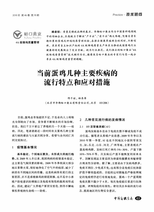 当前蛋鸡几种主要疾病的流行特点和应对措施