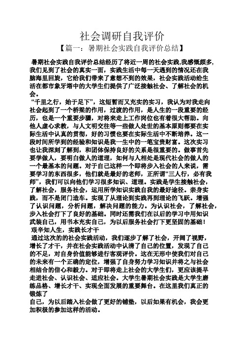 社会调研自我评价