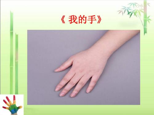 北师大小学语文四年级下《四 手：手上的皮肤》 优质课教学课件_0