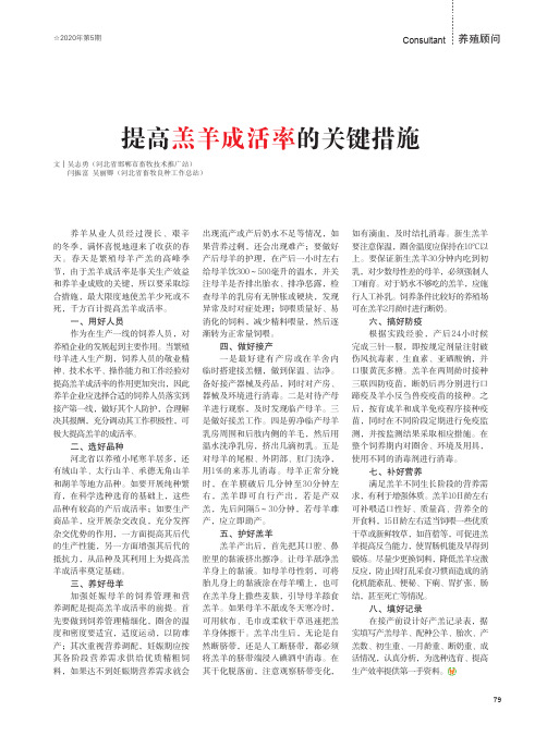 提高羔羊成活率的关键措施