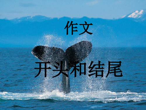 作文开头和结尾