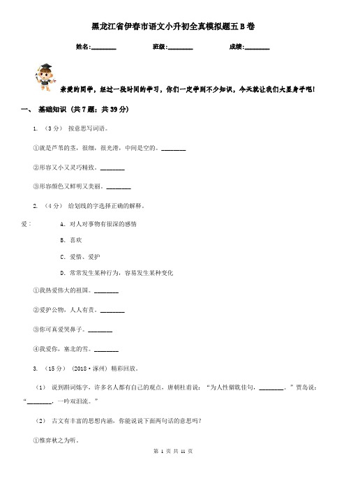 黑龙江省伊春市语文小升初全真模拟题五B卷