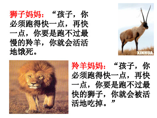《竞争与合作》ppt课件