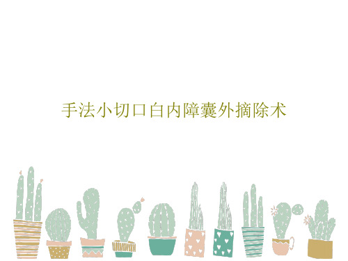 手法小切口白内障囊外摘除术26页PPT