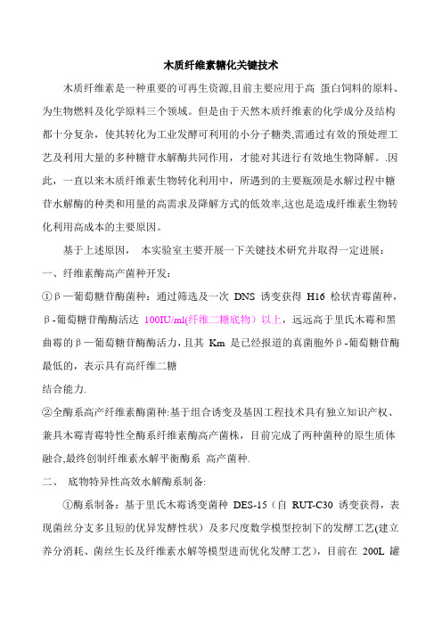 木质纤维素糖化关键技术