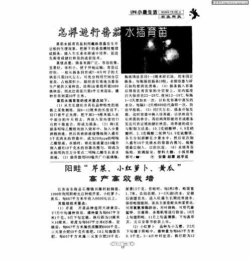 阳畦“芹菜、小红萝卜、黄瓜”高产高致栽培
