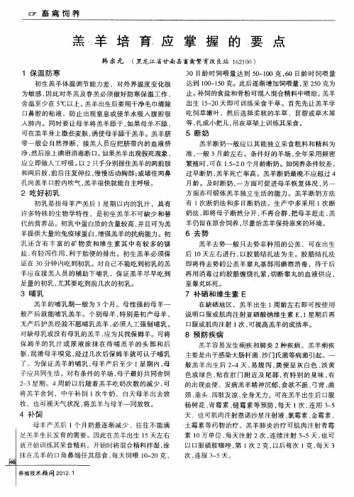 羔羊培育应掌握的要点