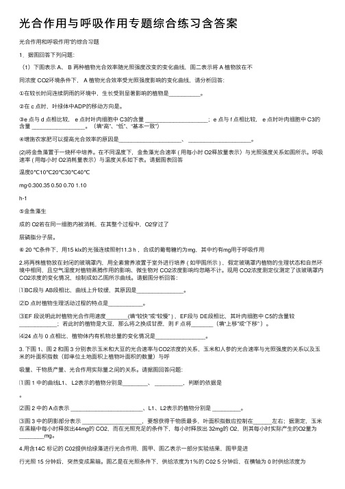 光合作用与呼吸作用专题综合练习含答案