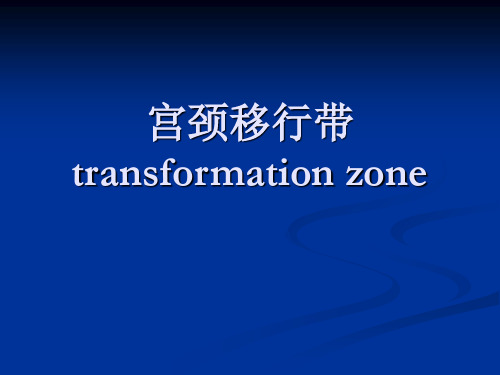 宫颈移行带