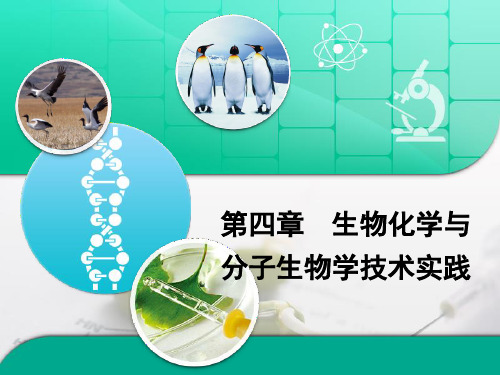 苏教版高中生物选修1 第四章章末复习：《生物化学与分子生物学技术实践》章末复习课件